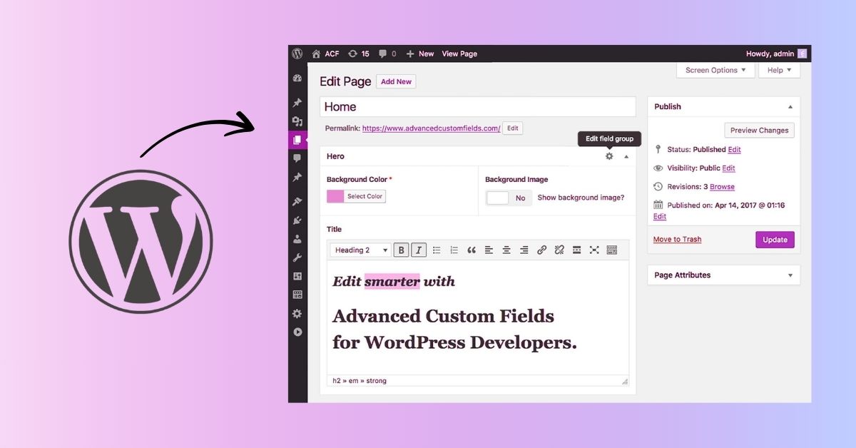 ACF Pro WordPress Customization Services by Experienced ACF Developers